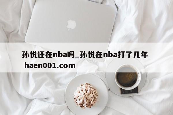 孙悦还在nba吗_孙悦在nba打了几年  haen001.com