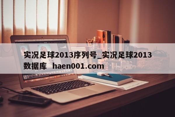 实况足球2013序列号_实况足球2013数据库  haen001.com